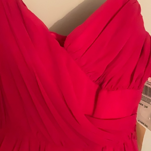 BEAUTIFUL FUSCHIA DRESS SIZE 10 MOLLY & JACK NWT 170 - Picture 3 of 10